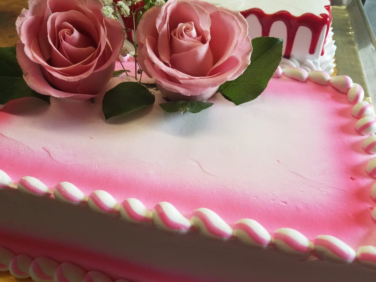 Pink Ombré with Fresh Roses