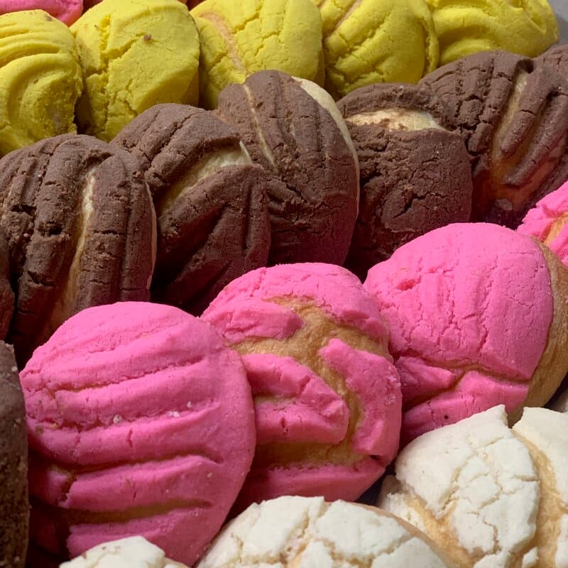 Mini Conchas