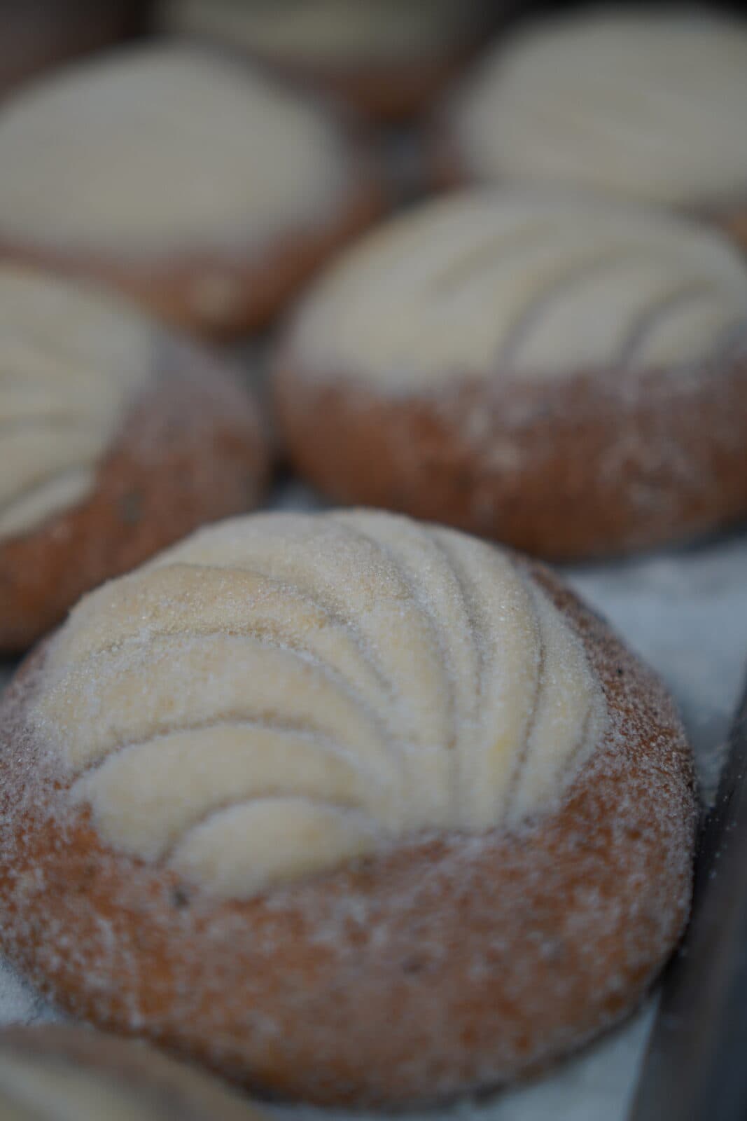 Sugar-topped conchas cooling on a bakery tray after the morning bake