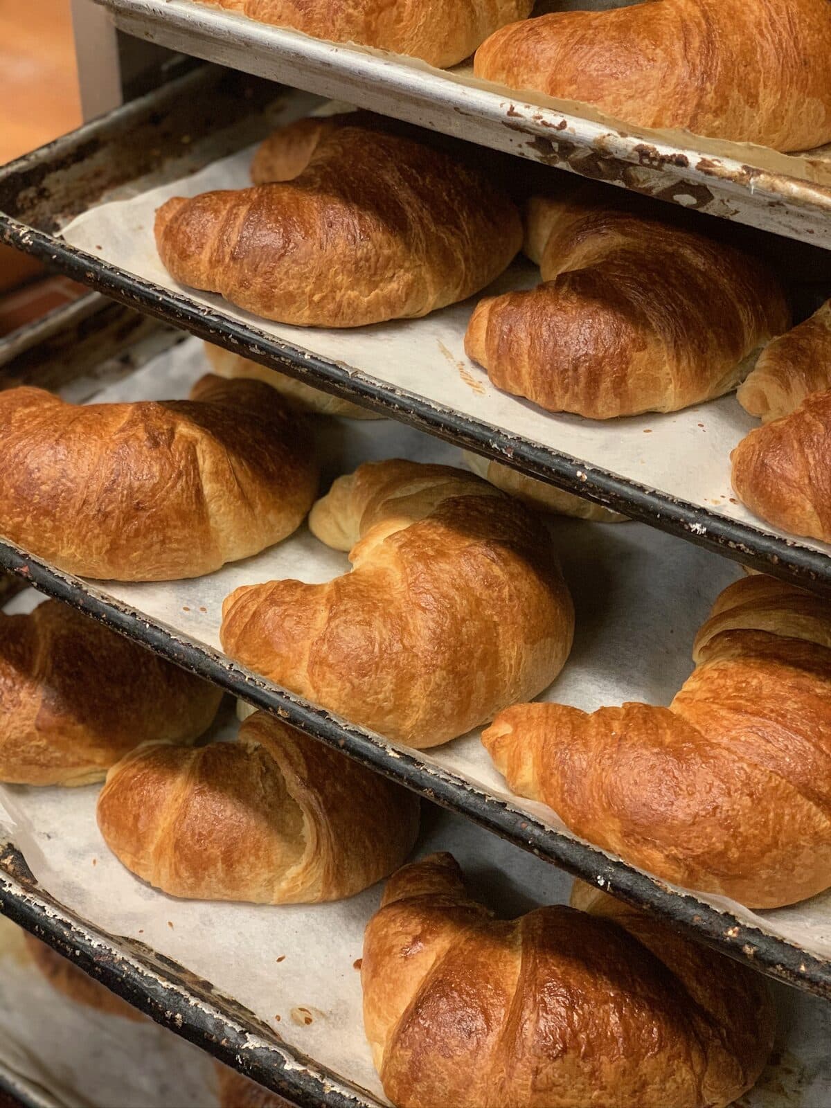 Golden fresh croissants cooling on stacked bakery trays after the morning bake