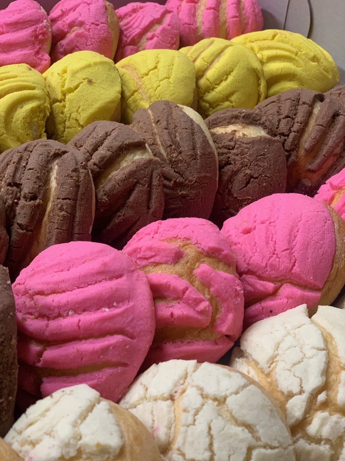 Box of mini conchas in pink, yellow, chocolate, and white shell toppings at Tlaxcala Bakery